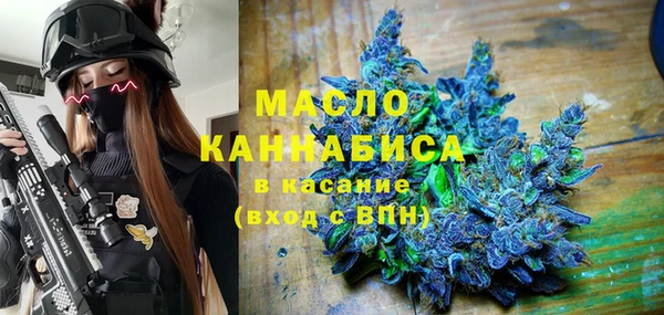 крисы Новодвинск