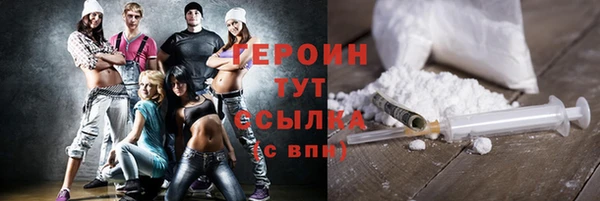 сатива Новозыбков
