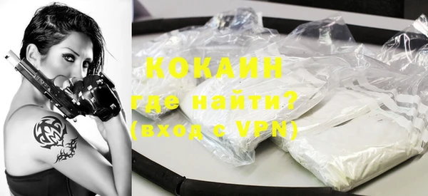 сатива Новозыбков