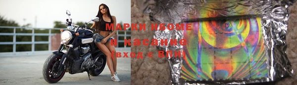 крисы Новодвинск