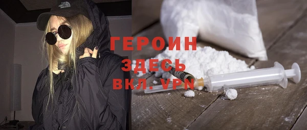 сатива Новозыбков