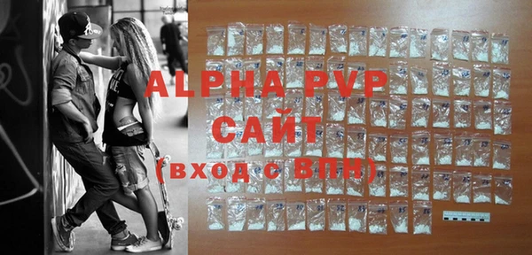 сатива Новозыбков