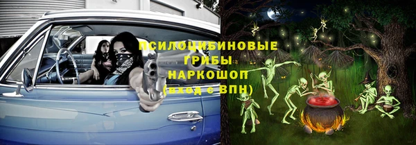 сатива Новозыбков