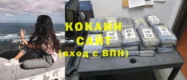 крисы Новодвинск