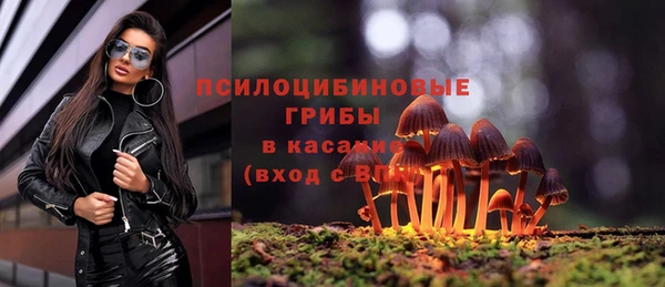 mdpv Нея